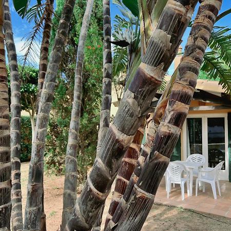 Bungalow Tropical Nº6 - Son Xoriguer Apartment Ngoại thất bức ảnh